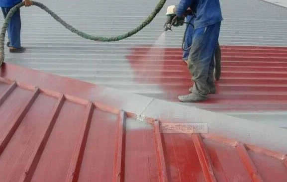 Why Every Home in Lorne Needs Waterproof Coatings