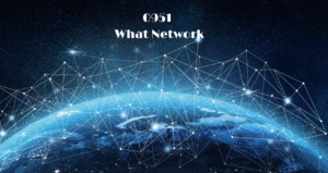 0951 What Network