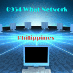 0954 What Network