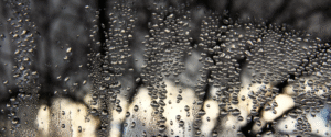 Facts About Condensation
