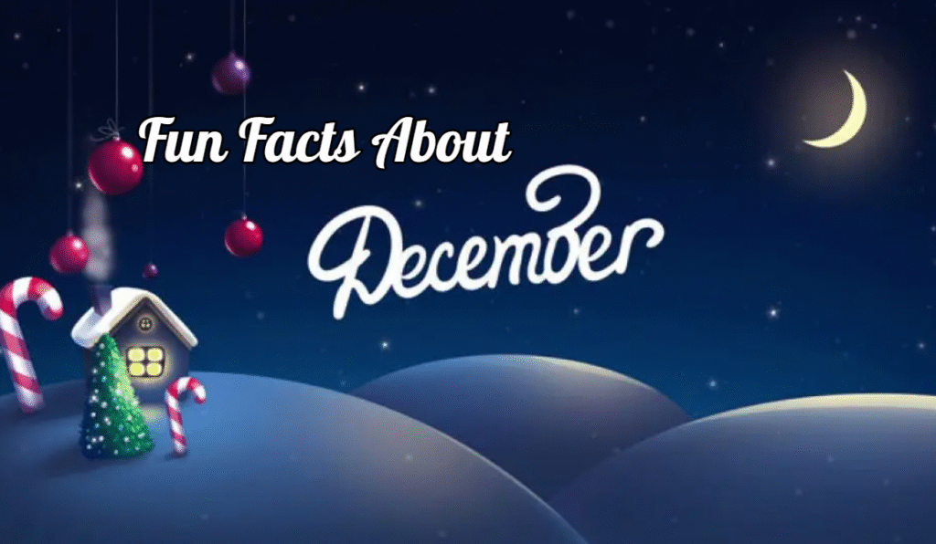 Fun Facts About December Month