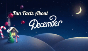 Fun Facts About December Month