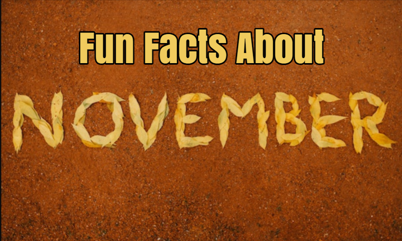 Fun Facts About the November Month