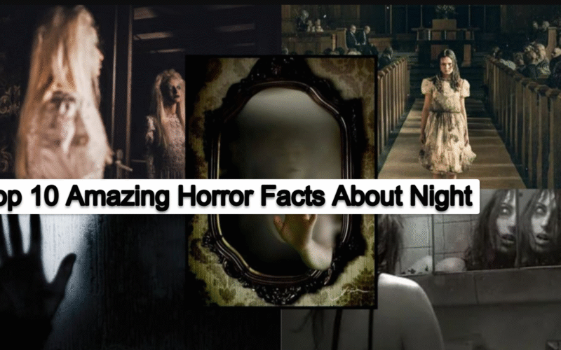 Top 10 Amazing Horror Facts About Night