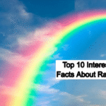 Top 10 Interesting Facts About Rainbows