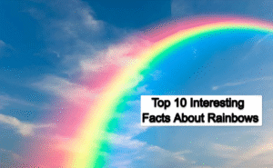 Top 10 Interesting Facts About Rainbows