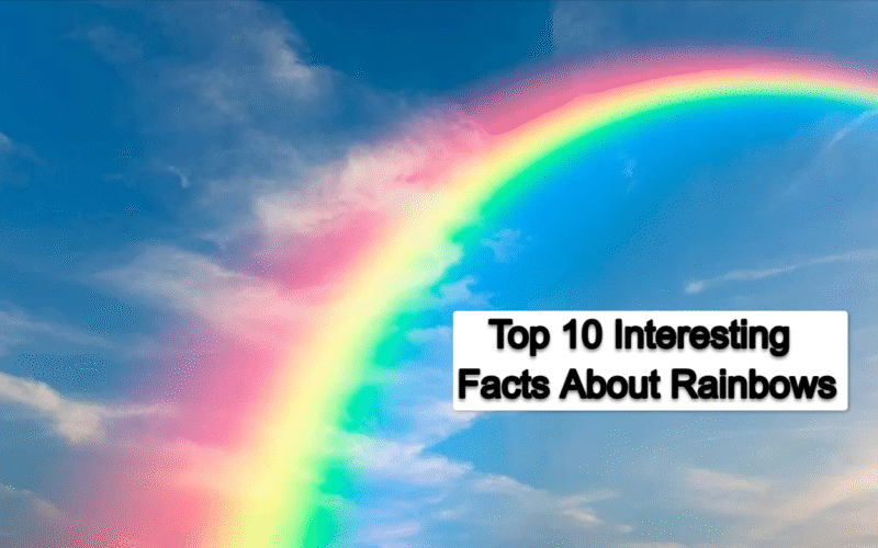 Top 10 Interesting Facts About Rainbows