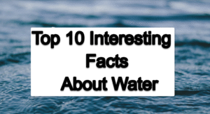 Top 10 Interesting Facts About Water