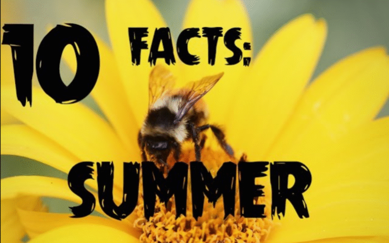 Top 10 Interesting Facts About the Summer Season