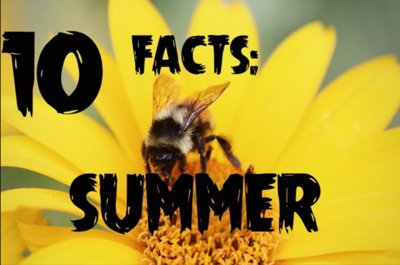 Top 10 Interesting Facts About the Summer Season